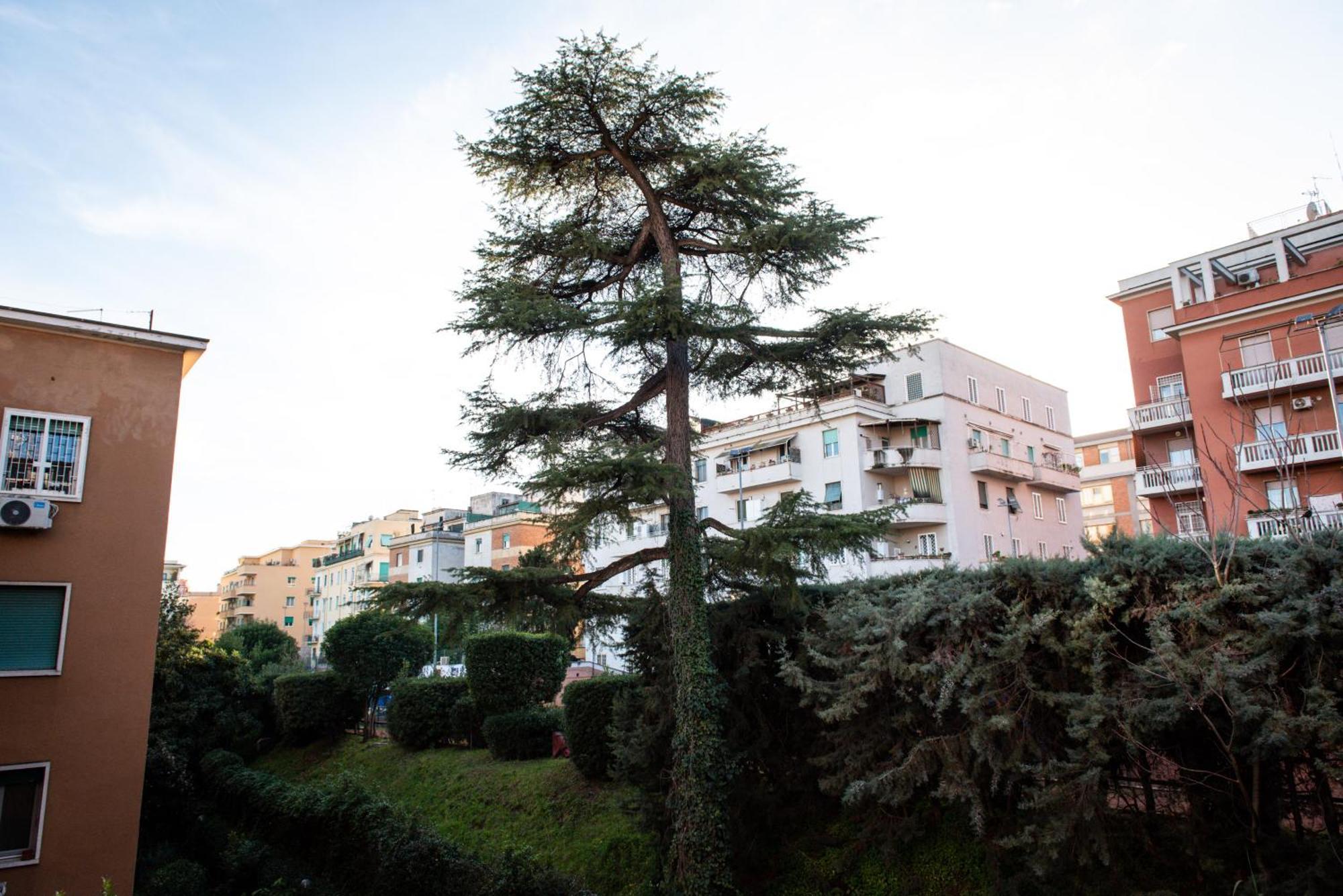 Appartamento Casa Di Oscar